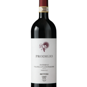 bottiglia vino prodigio vini bettini
