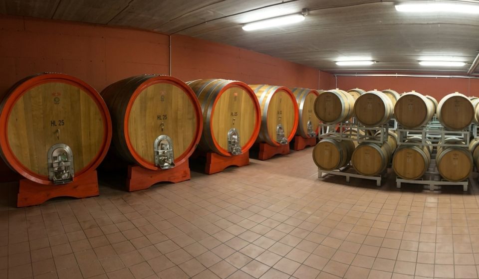 vineyard with a winery